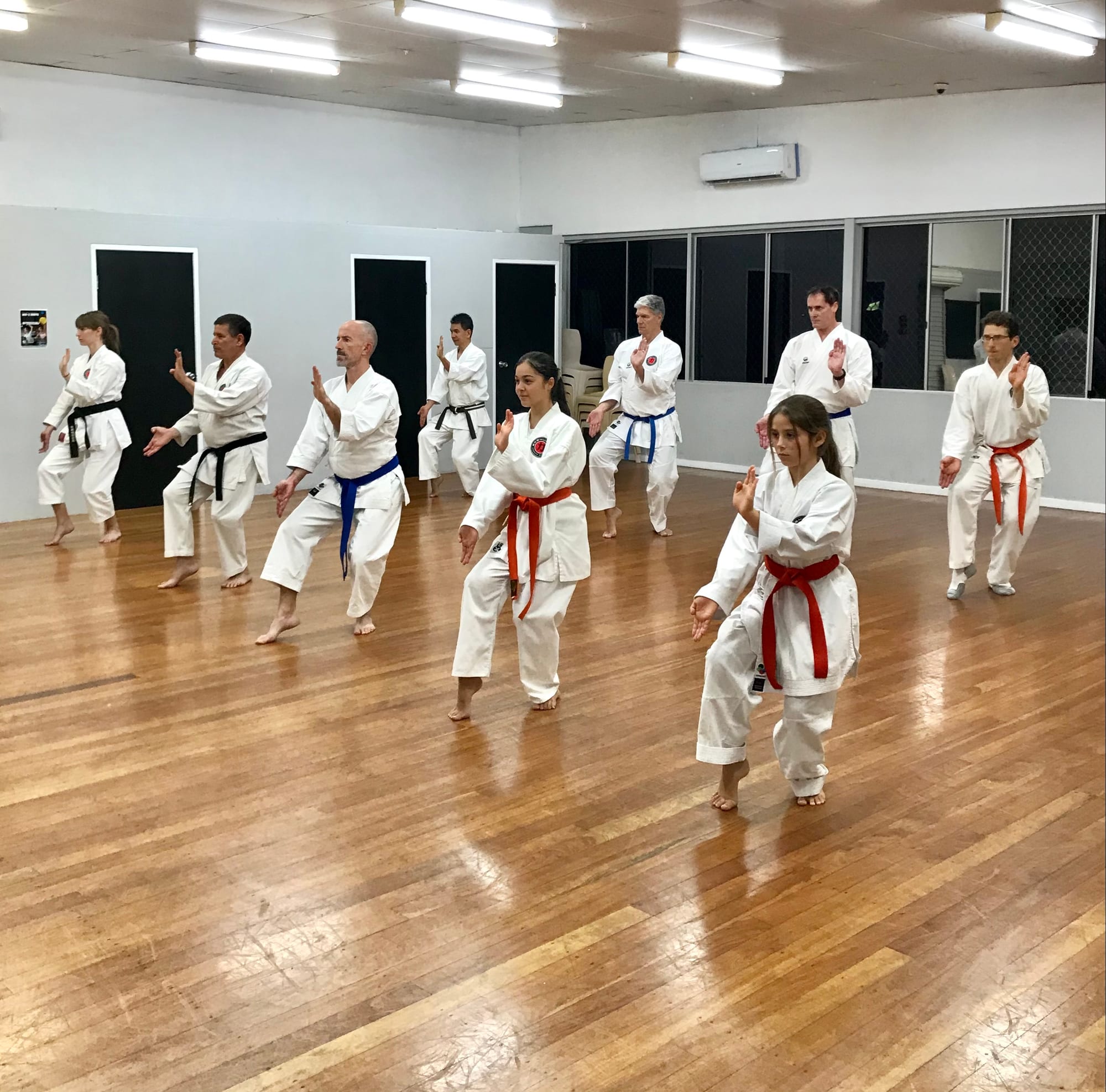 What is Gōjū-ryū?